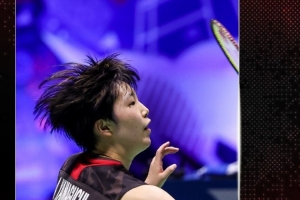 类似的例子 类似的例子