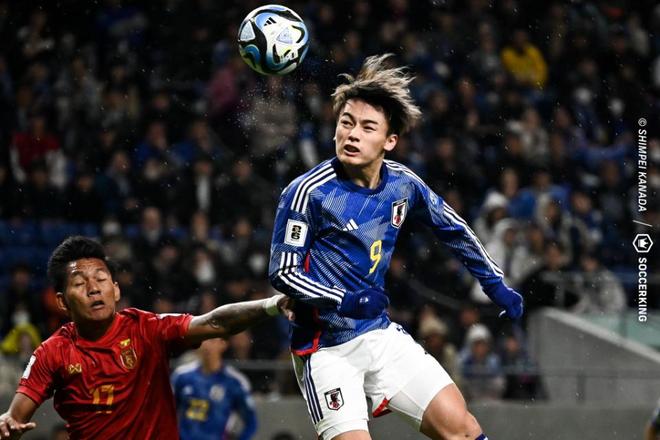 谁更吸睛 谁更吸睛